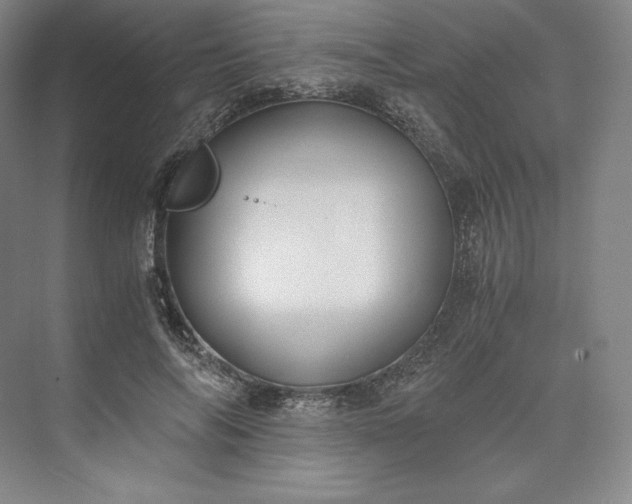 X0000073470694200608111536