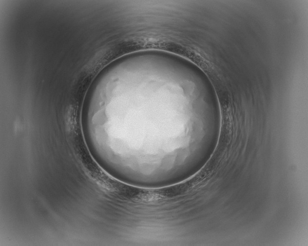 X0000073470695200608111536