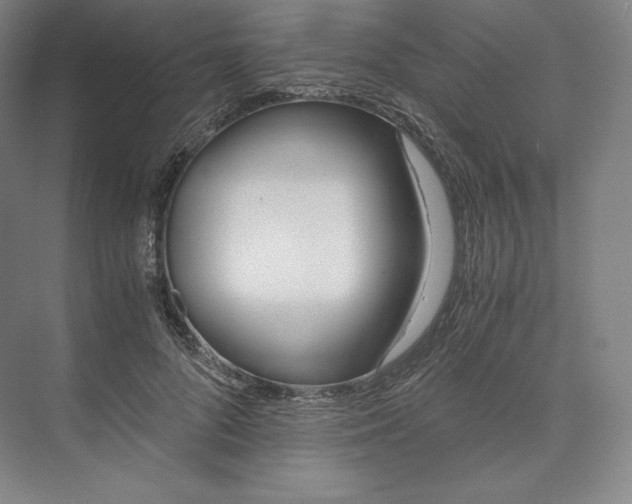 X0000073470696200608111536