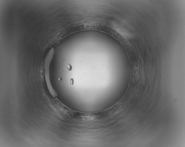 X0000073470698200608111536