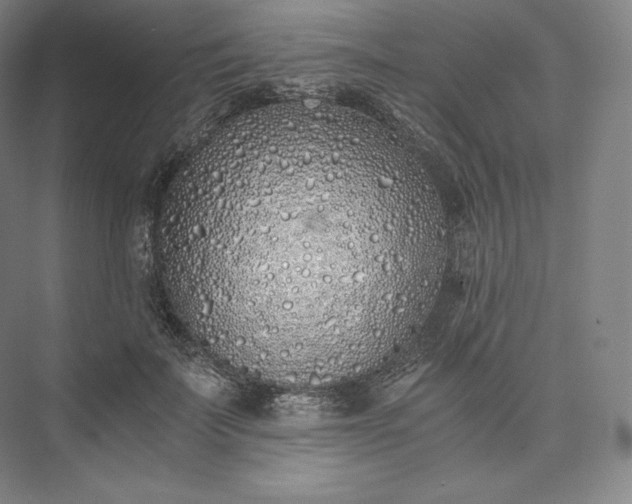 X0000073470699200608111536