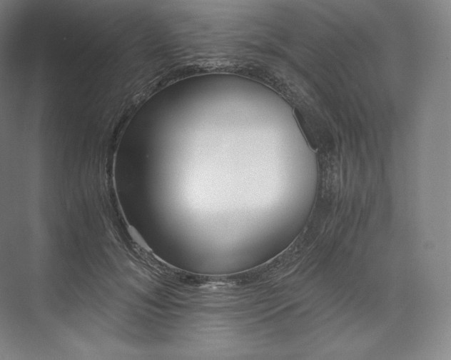 X0000073470700200608111536