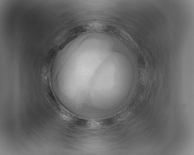 X0000073470701200608111536