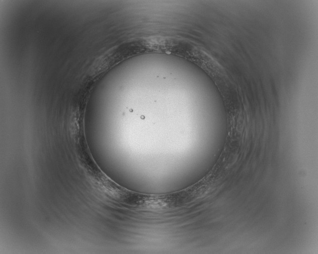 X0000073470702200608111536