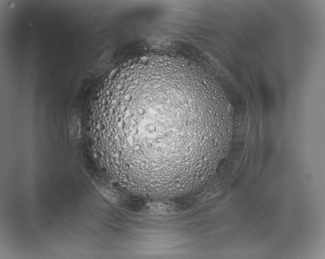 X0000073470703200608111536