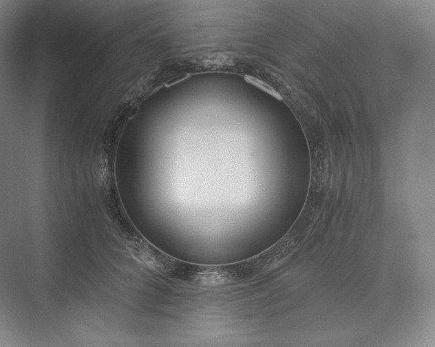 X0000073470704200608111536