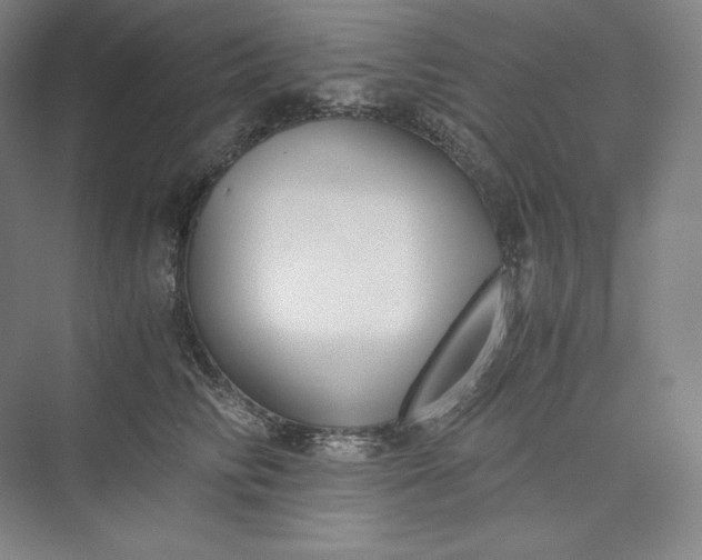 X0000073470710200608111536