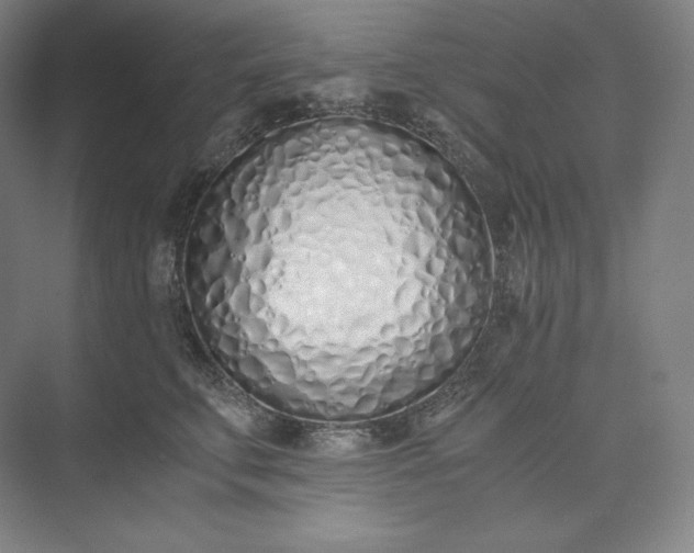 X0000073470711200608111536