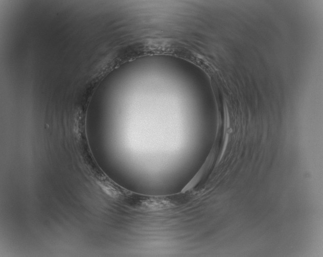 X0000073470712200608111536