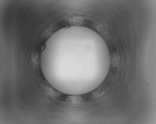 X0000073470713200608111536