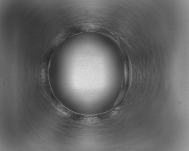 X0000073470716200608111536