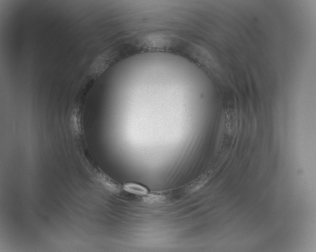 X0000073470718200608111536