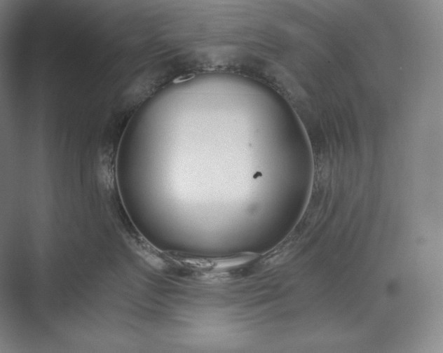 X0000073470719200608111536