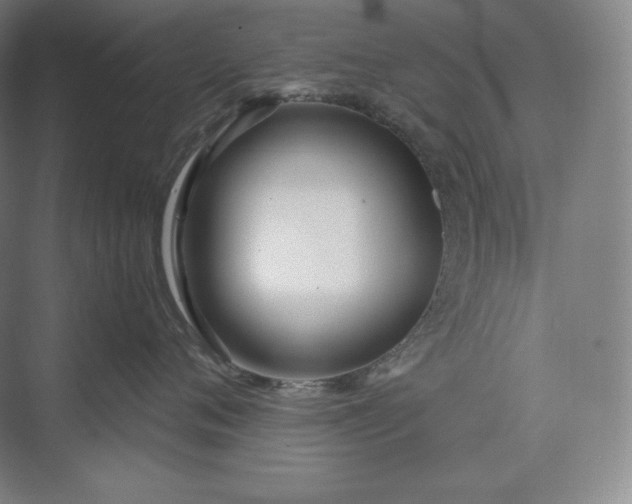 X0000073470720200608111536