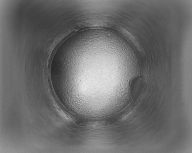 X0000073470721200608111535