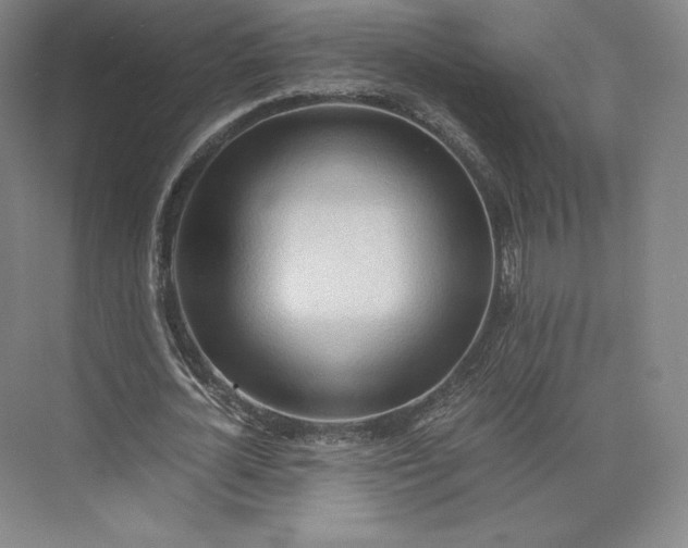 X0000073470724200608111535