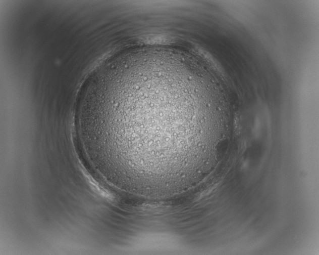 X0000073470725200608111535