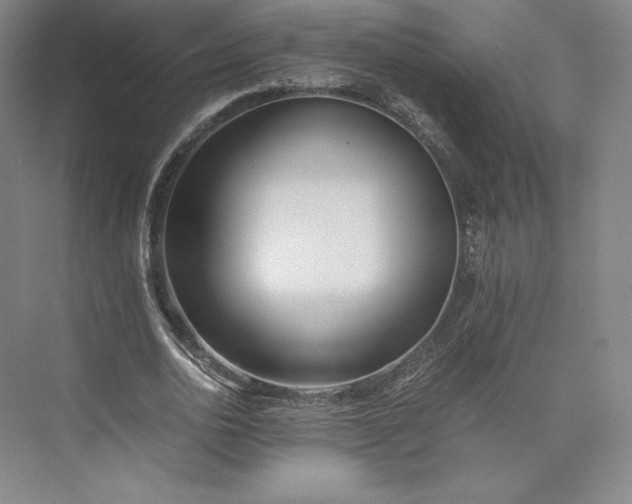 X0000073470726200608111535