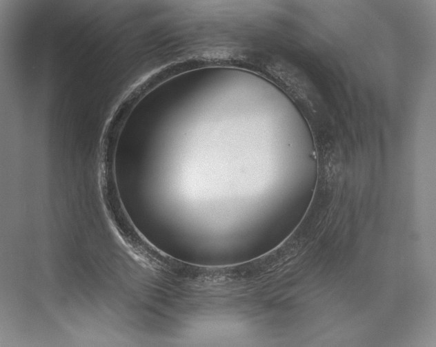 X0000073470728200608111535