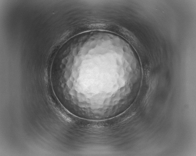 X0000073470729200608111535