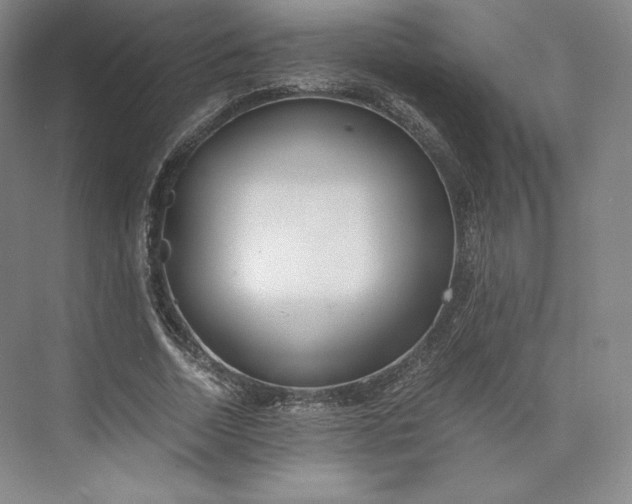 X0000073470730200608111535