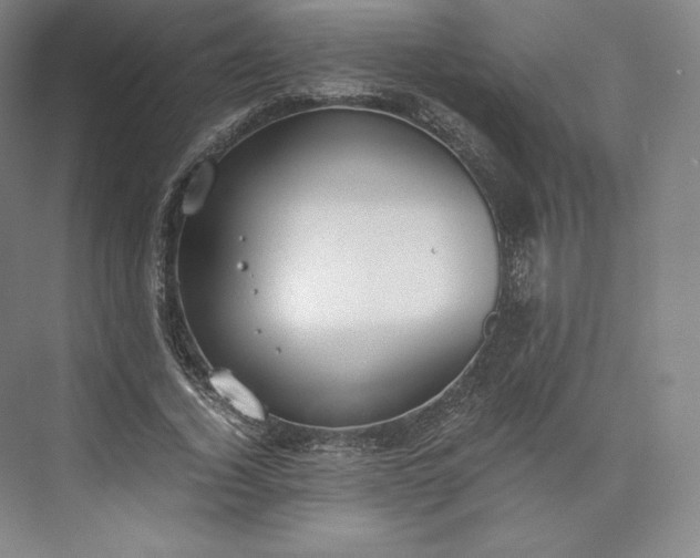 X0000073470732200608111535