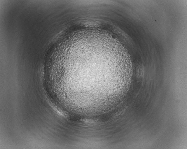 X0000073470733200608111535