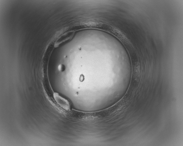 X0000073470734200608111535