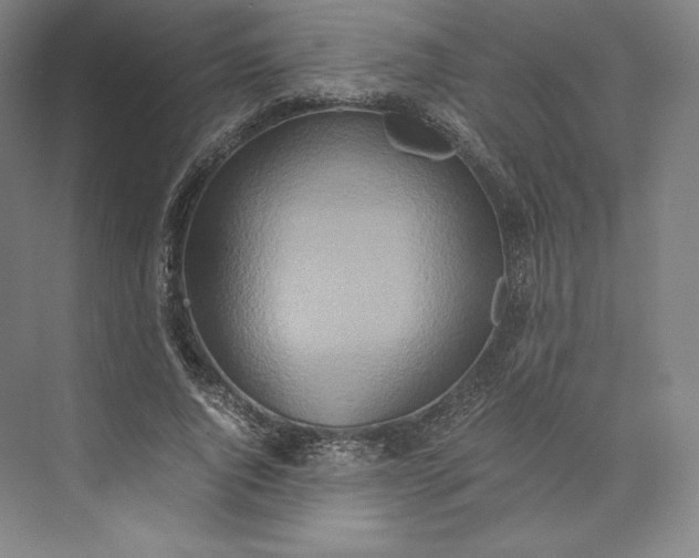 X0000073470736200608111535