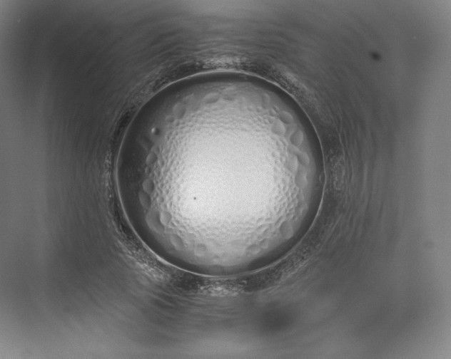 X0000073470737200608111535