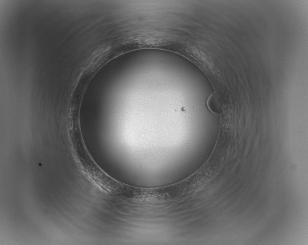 X0000073470738200608111535