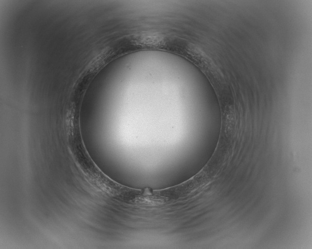 X0000073470739200608111535