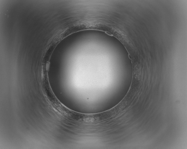 X0000073470740200608111535