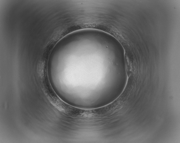 X0000073470742200608111535