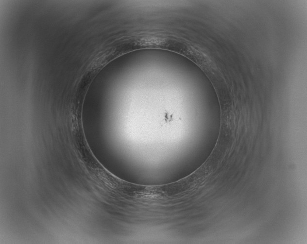 X0000073470743200608111535