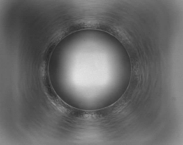 X0000073470744200608111535