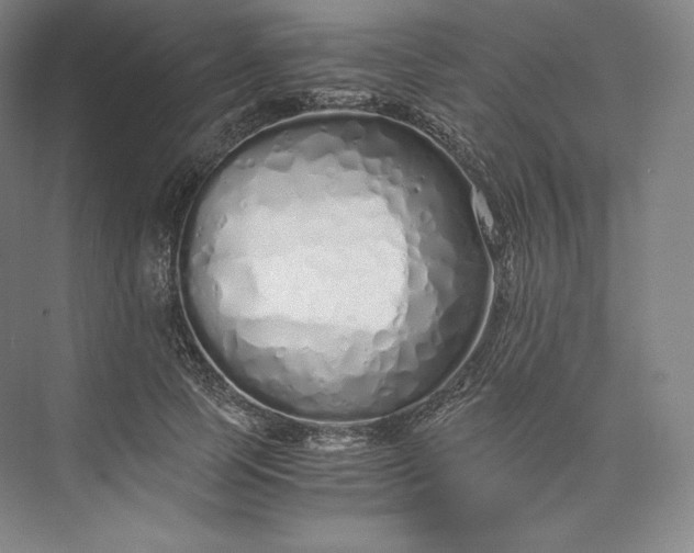 X0000073470745200608111535