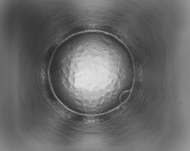 X0000073470746200608111535