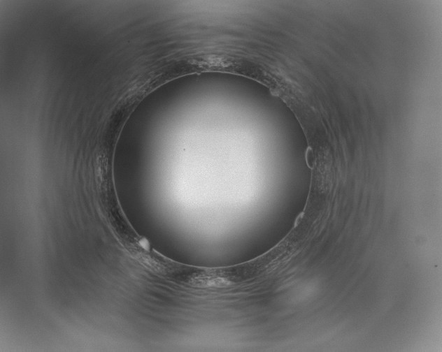 X0000073470747200608111535