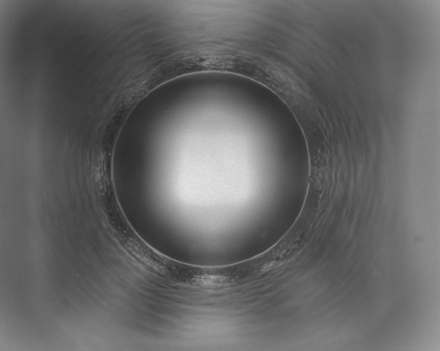 X0000073470748200608111535