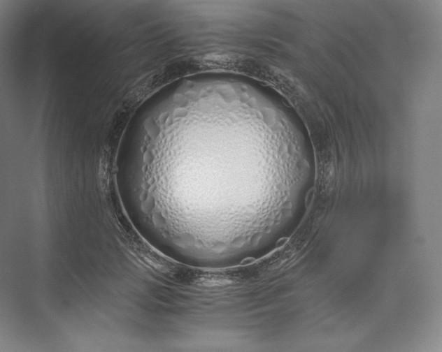 X0000073470749200608111535