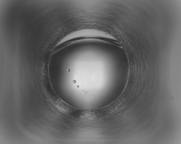 X0000073470750200608111535