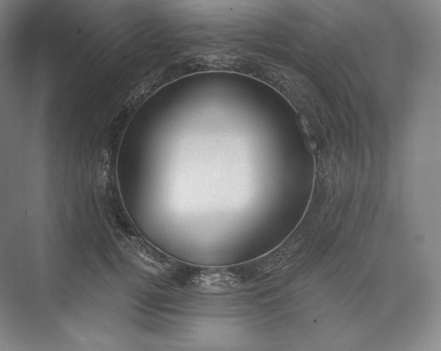 X0000073470752200608111535