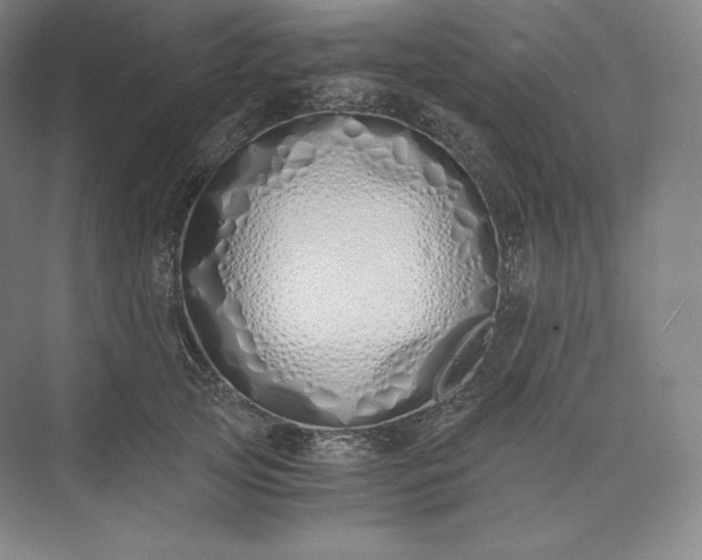 X0000073470753200608111536