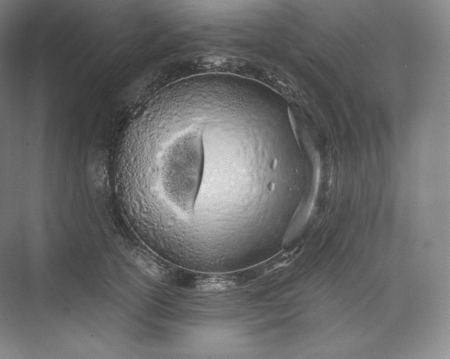 X0000073470754200608111536