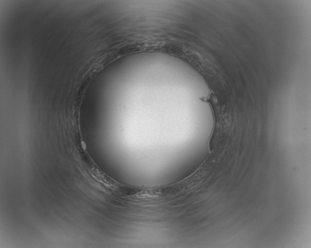 X0000073470756200608111536