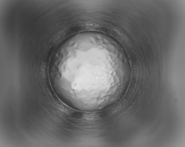 X0000073470757200608111536