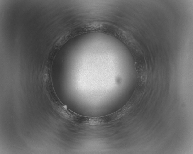 X0000073470758200608111536