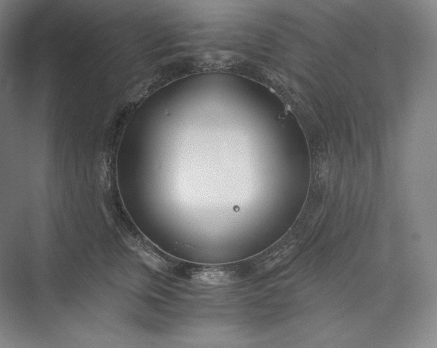 X0000073470759200608111536