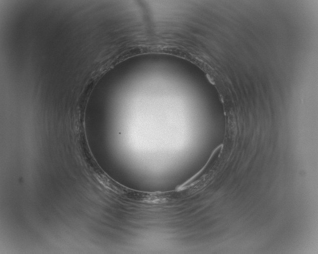 X0000073470760200608111536